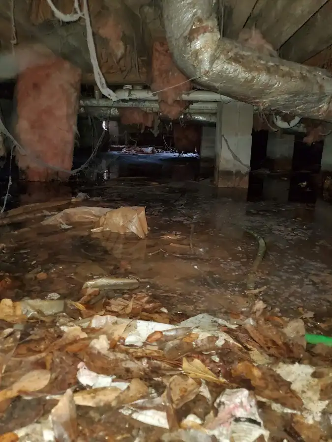 Crawl space flood assessment for Leak Detection & Repair in Abingdon