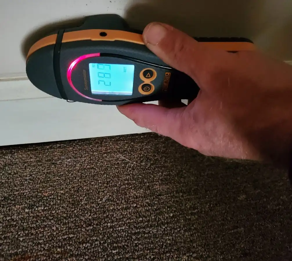 Moisture detection at baseboard during Mold Inspection & Testing in Abingdon